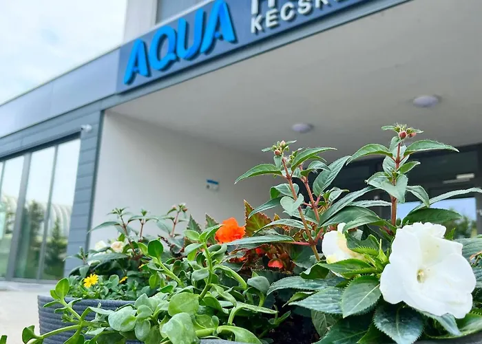 Aqua